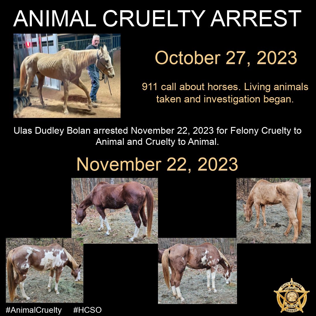 On 11/27/23, deputies responded to a concern for welfare in reference to malnourished horses. When the deputies arrived, they found four horses that appeared very malnourished and one horse on the ground unable to stand and one dead. More info in link. facebook.com/10006683802486…