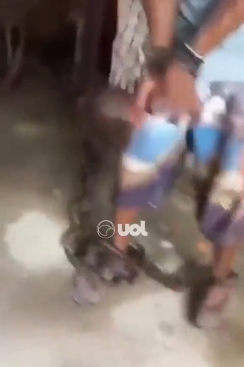 poptime's tweet photo. 🚨 Médico é condenado a pagar R$300 MIL para funcionário que trabalhava em sua chácara, após amarrar o homem com correntes e gravar o momento para lhe humilhar na internet.

O caso aconteceu em Goiás. https://t.co/uHZb3CNfa9