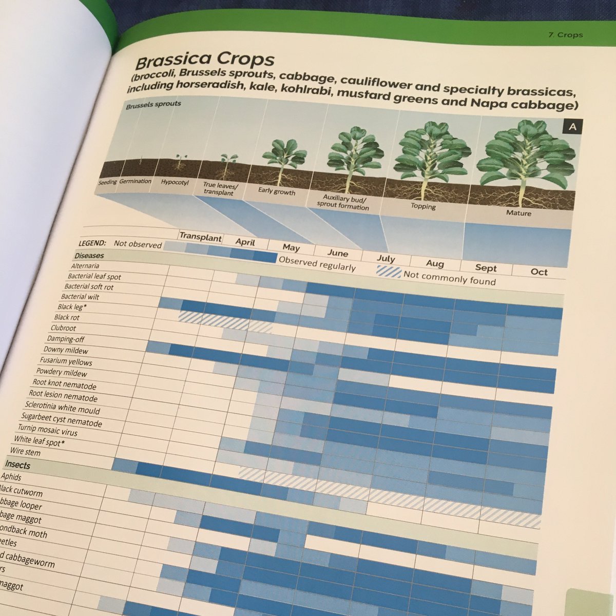 Travis Cranmer tweet media