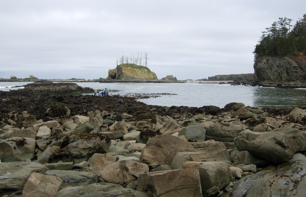 OIMB is hiring for a 2-yr part time temporary instructor to ​teach a 3-6 credit course in each of three terms at OIMB, including Biology of Fishes, Biological Oceanography, and one other course that fits into the curriculum. Reviews start 11-Dec. Full ad: careers.uoregon.edu/en-us/job/5330…