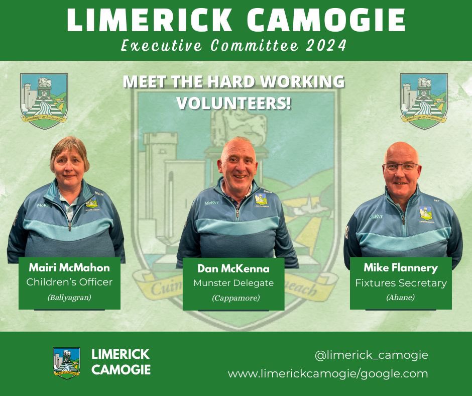 Limerick Camogie tweet media