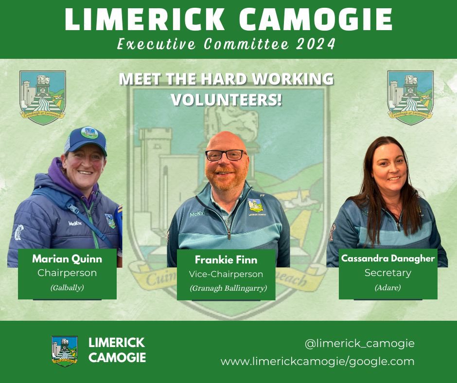 Limerick Camogie tweet media