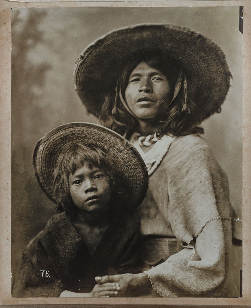 Colecciones de Ricardo Salinas Pliego tweet media