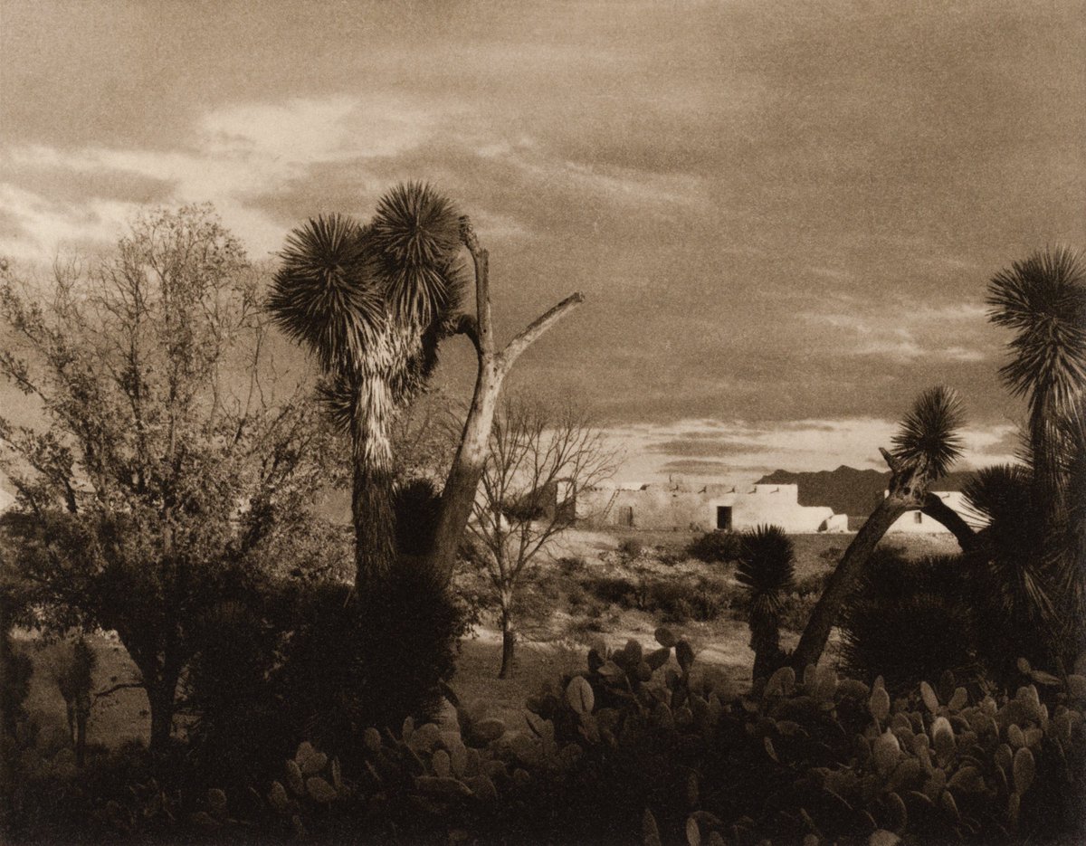 Colecciones de Ricardo Salinas Pliego tweet media