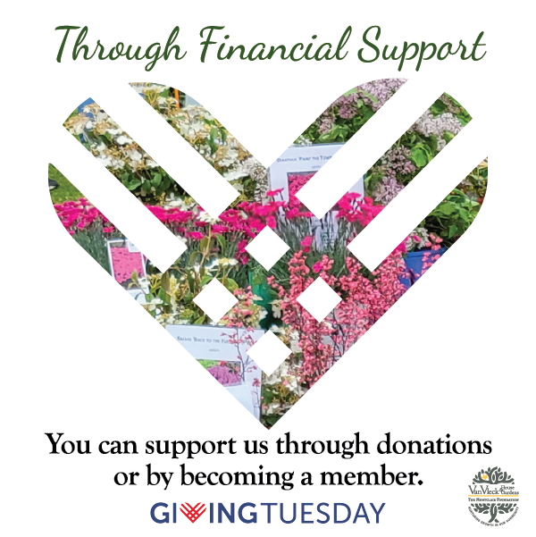 The Montclair Foundation tweet media