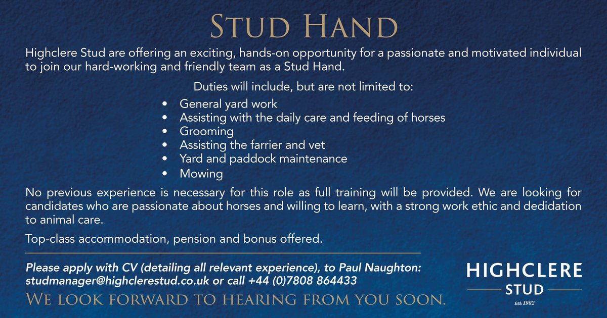 Are you a passionate & motivated individual? Highclere Stud are offering an exciting, hands-on opportunity to join our hard-working & friendly team as a STUD HAND 💫 Please apply with CV to Paul Naughton: 📧 studmanager@highclerestud.co.uk 📲 +44 (0)7808 864433 #HighclereStud