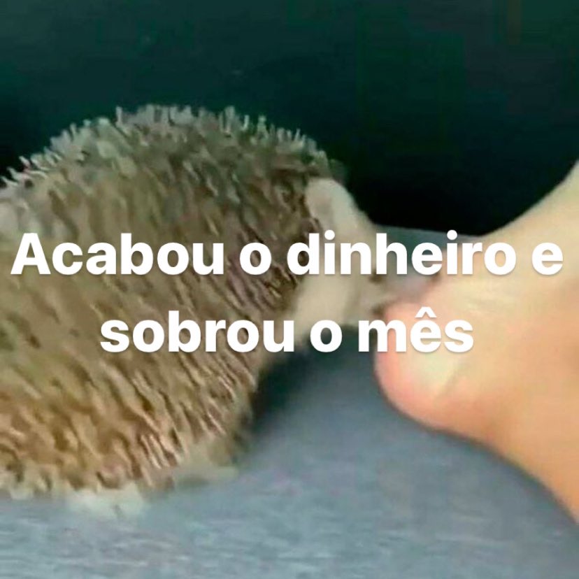 dia 35 de novembro