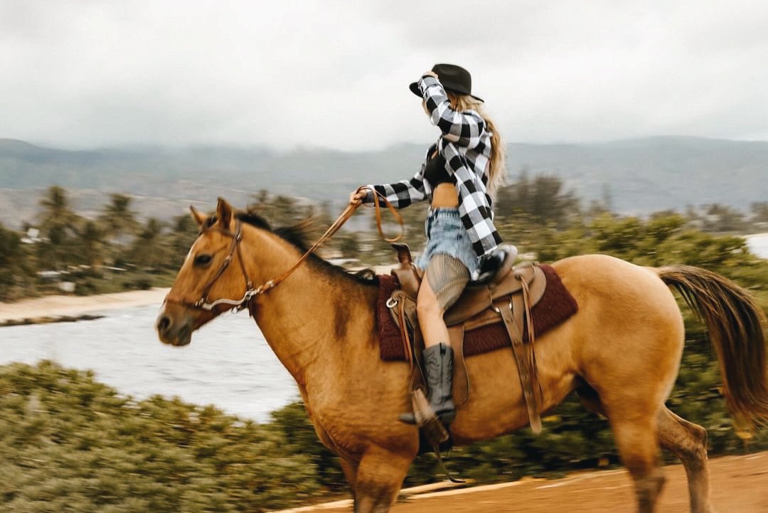 ✨Official Shiulina✨ tweet media