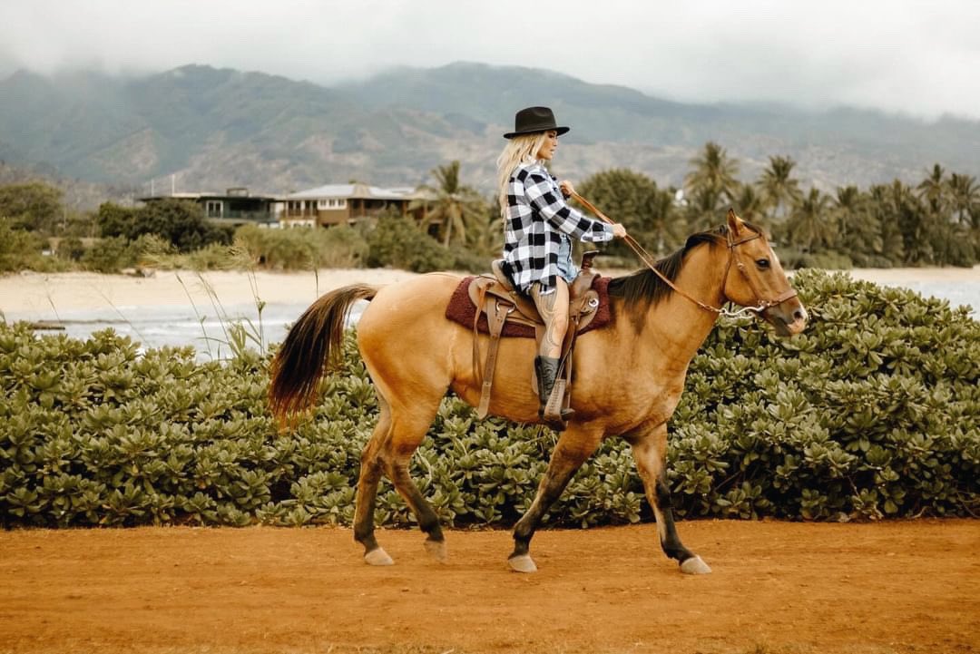 ✨Official Shiulina✨ tweet media