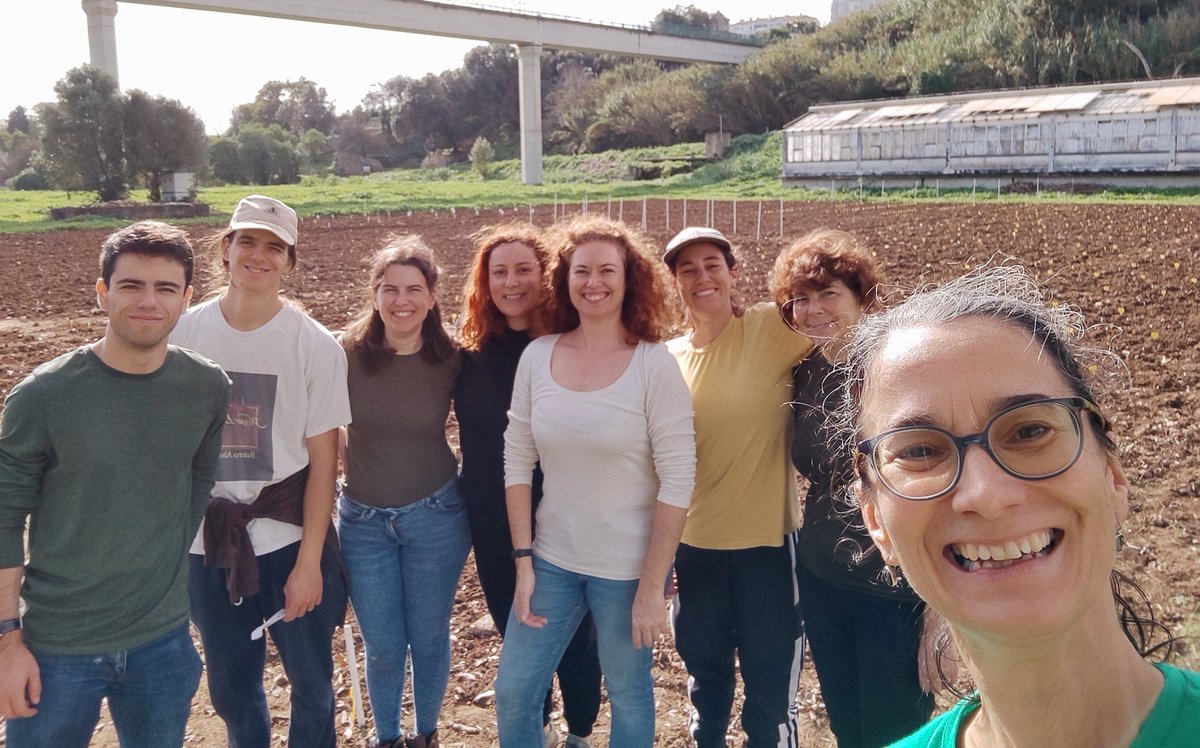 A great sowing day! 🌤️🌦️ 
An incredible team! 💪💪
Grow #Lathyrus! Grow!! 
Next week with #CitizenScientists! @DIVINFOOD #OeirasParticipa @MunicipioOeiras @itqbnova @greenit_bio4sus