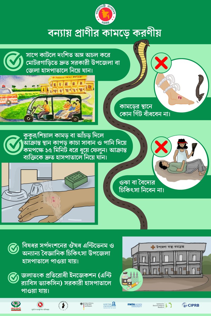 FlutNetz Project tweet media