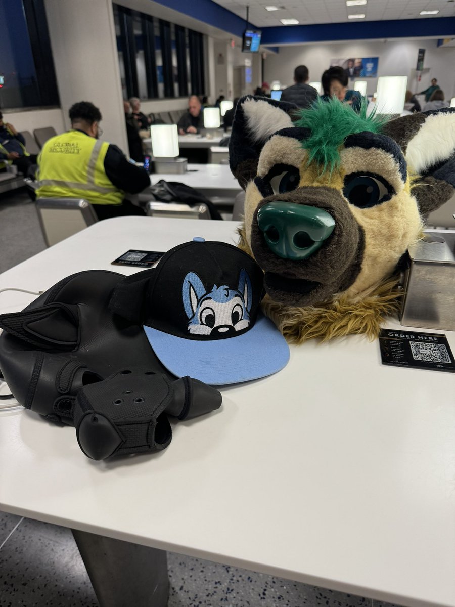 Not at all a conspicuous traveler 🫠