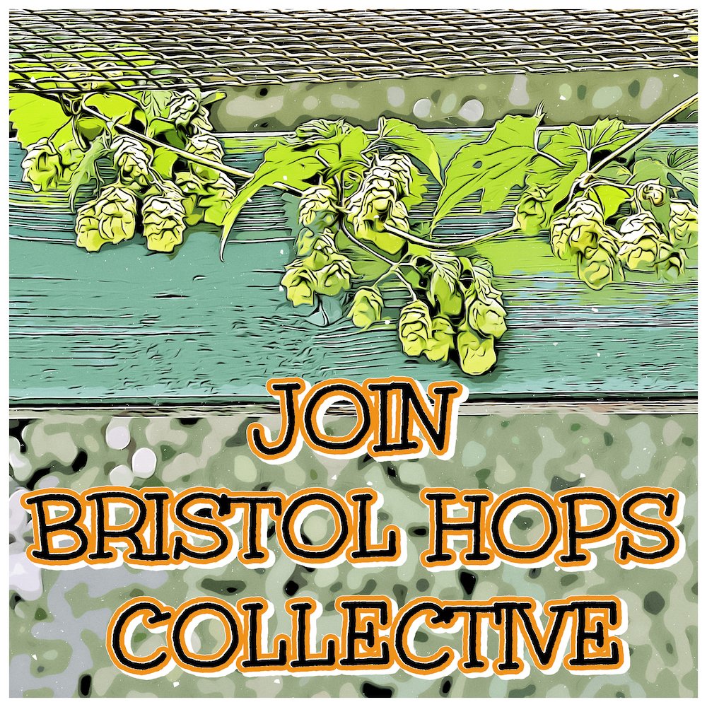 We're looking for new growers to join our collective! 🍺🌱🎉

We'll assemble a starter pack for you in spring 2024, including a hop rhizome and all necessary kit. 

Plus, we'll be on hand for advice all through the season.

bristolhopscollective.co.uk/join.html