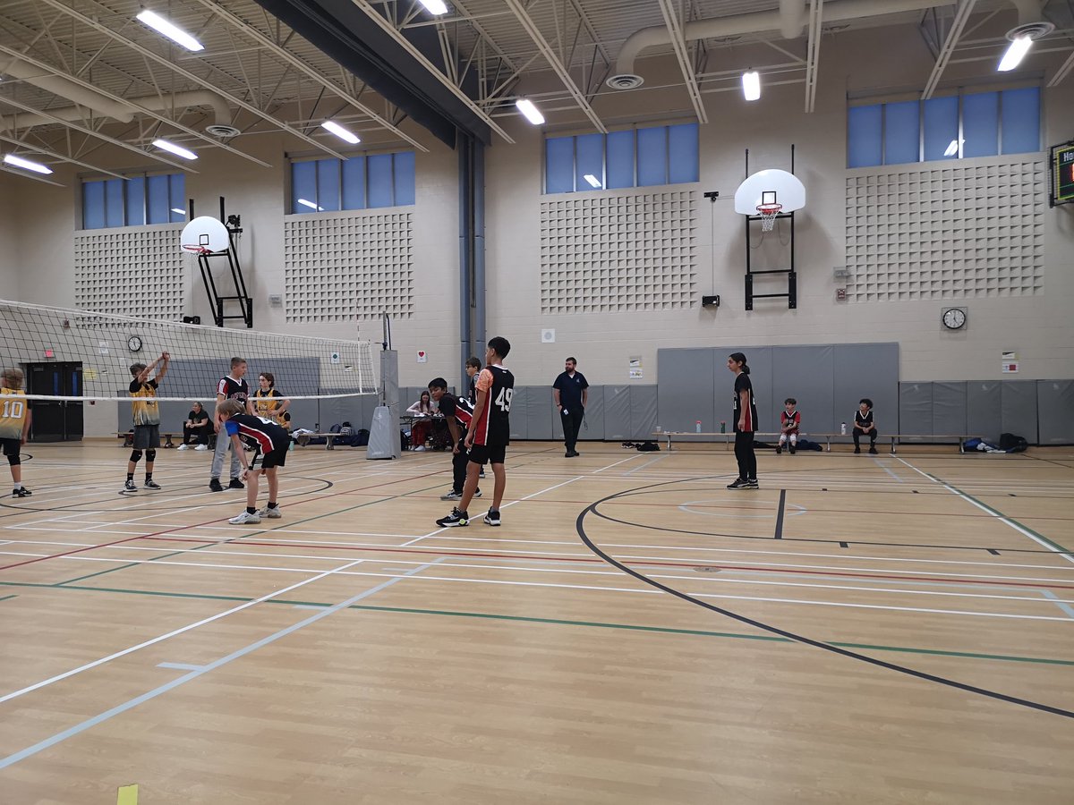 Sarah Foutris tweet media