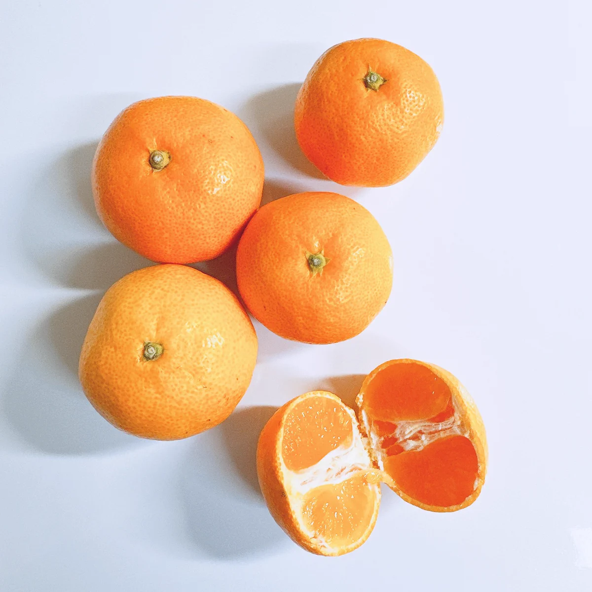mikan農園 Mikan Picking Experience: Supper, Breakfast ＆ Lunch box