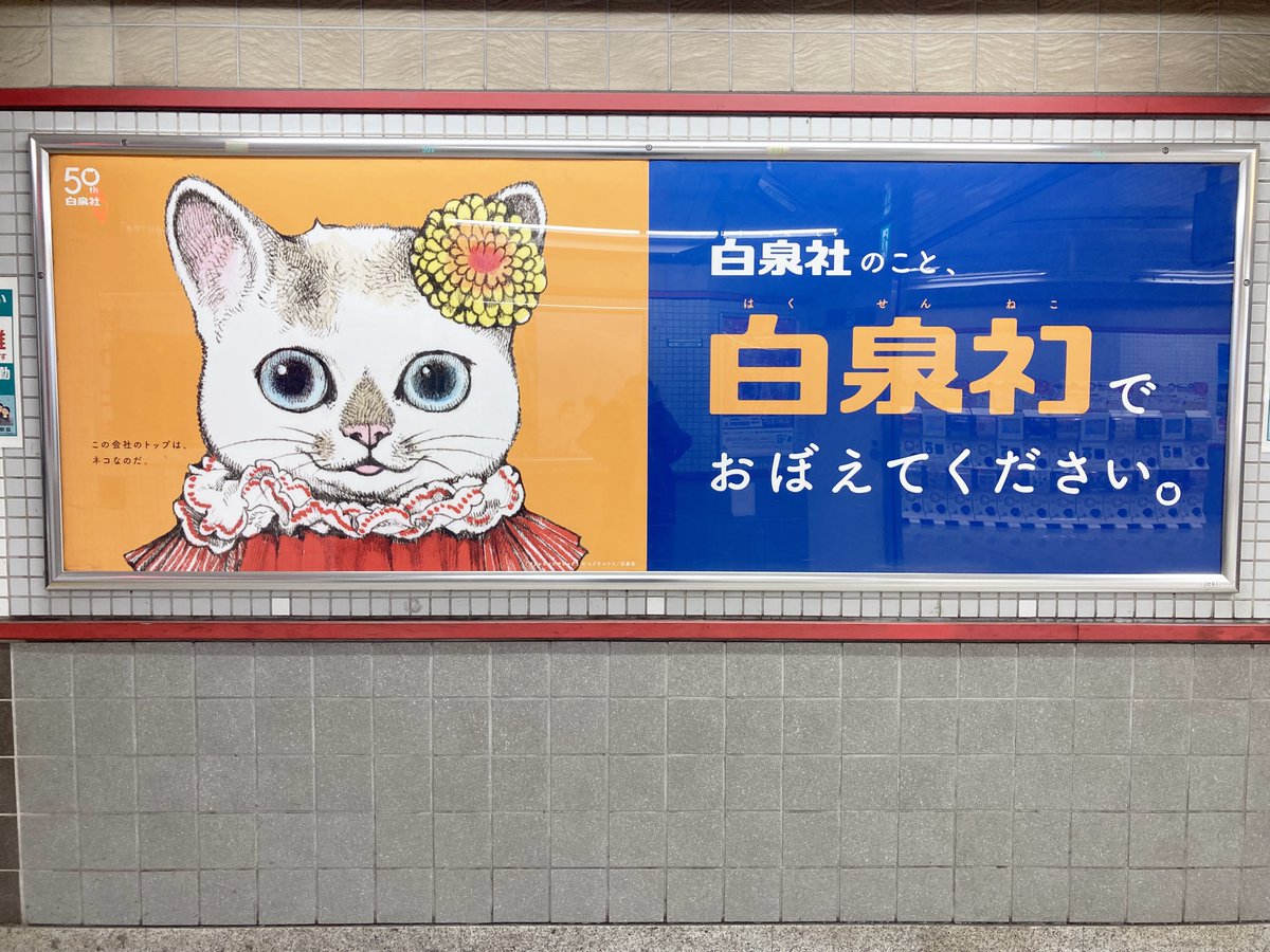 わー、こはるちゃんだ！ 白泉ネコ、凄い広告だ。 MOEのみなさまには 