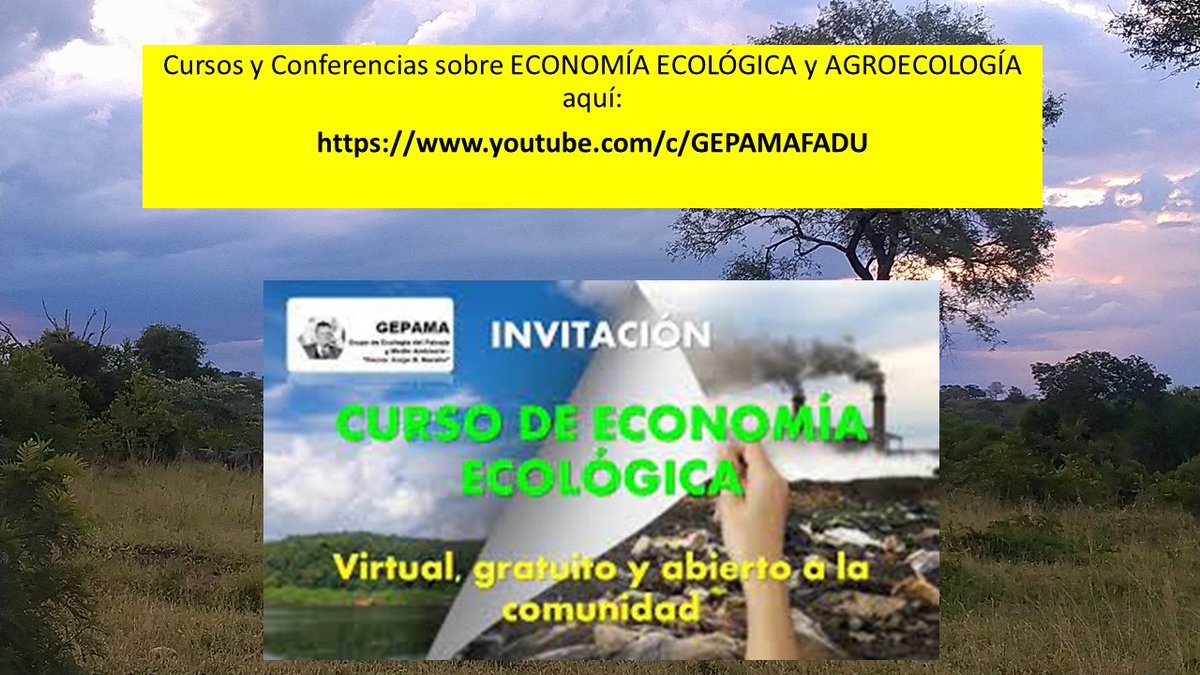 Walter Pengue tweet media