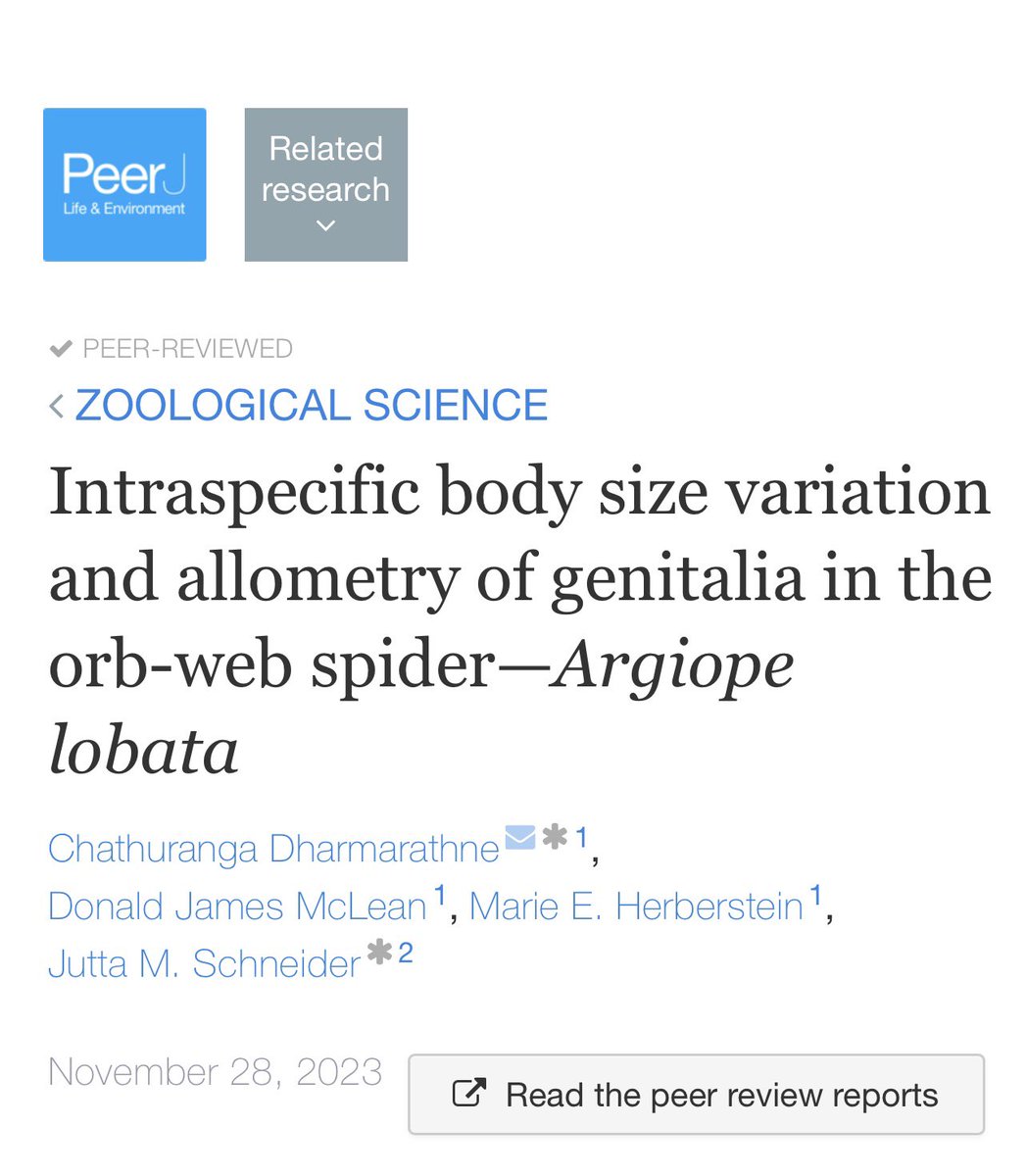 🕷️🔬 Exciting News! 📚🔍 Our latest article on 'Intraspecific Body Size Variation and Genitalia Allometry in Argiope lobata Orb-Web Spiders' has just been published! 🎉📰 Delve into the intricate world of spider biology and discover the fascinating insights we've uncovered.🕸️🕷️