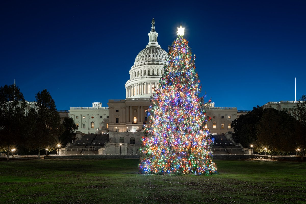 uscapitol's tweet photo. The lights are on / The feeling's here
That only comes / This time of year
Simply having a "Wild &amp; Wonderful" Christmastime.

The 2023 #CapitolChristmasTree will be lit from dusk until 11 p.m. each evening now through January 1, 2024. ✨🎄 https://t.co/NE3CiAYnk3