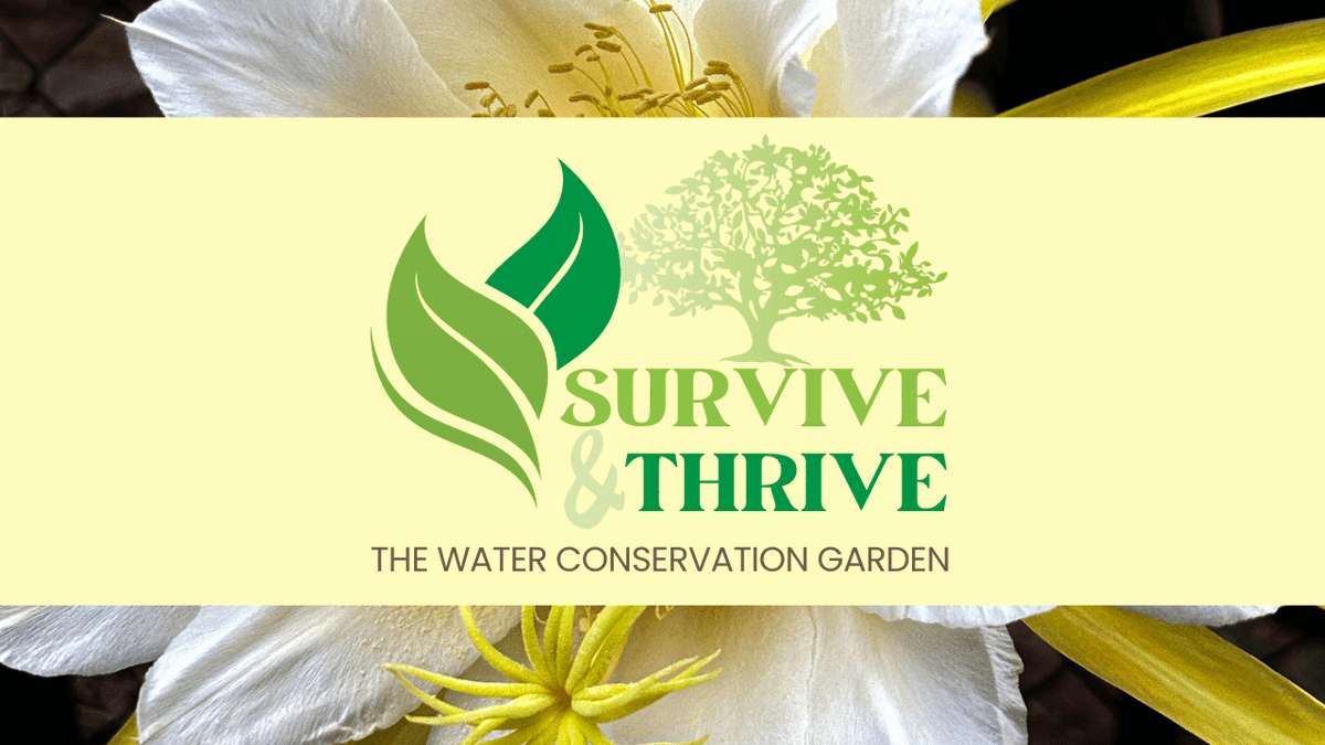 #GivingTuesday launches our Survive &amp; Thrive Program to develop a recovery plan for The Garden. We are in a state of distress &amp; will be downsizing operations &amp; restructuring programming. The Rice Family Foundation will DOUBLE all gifts up to $25k by 12/31 loom.ly/ruY7RRQ