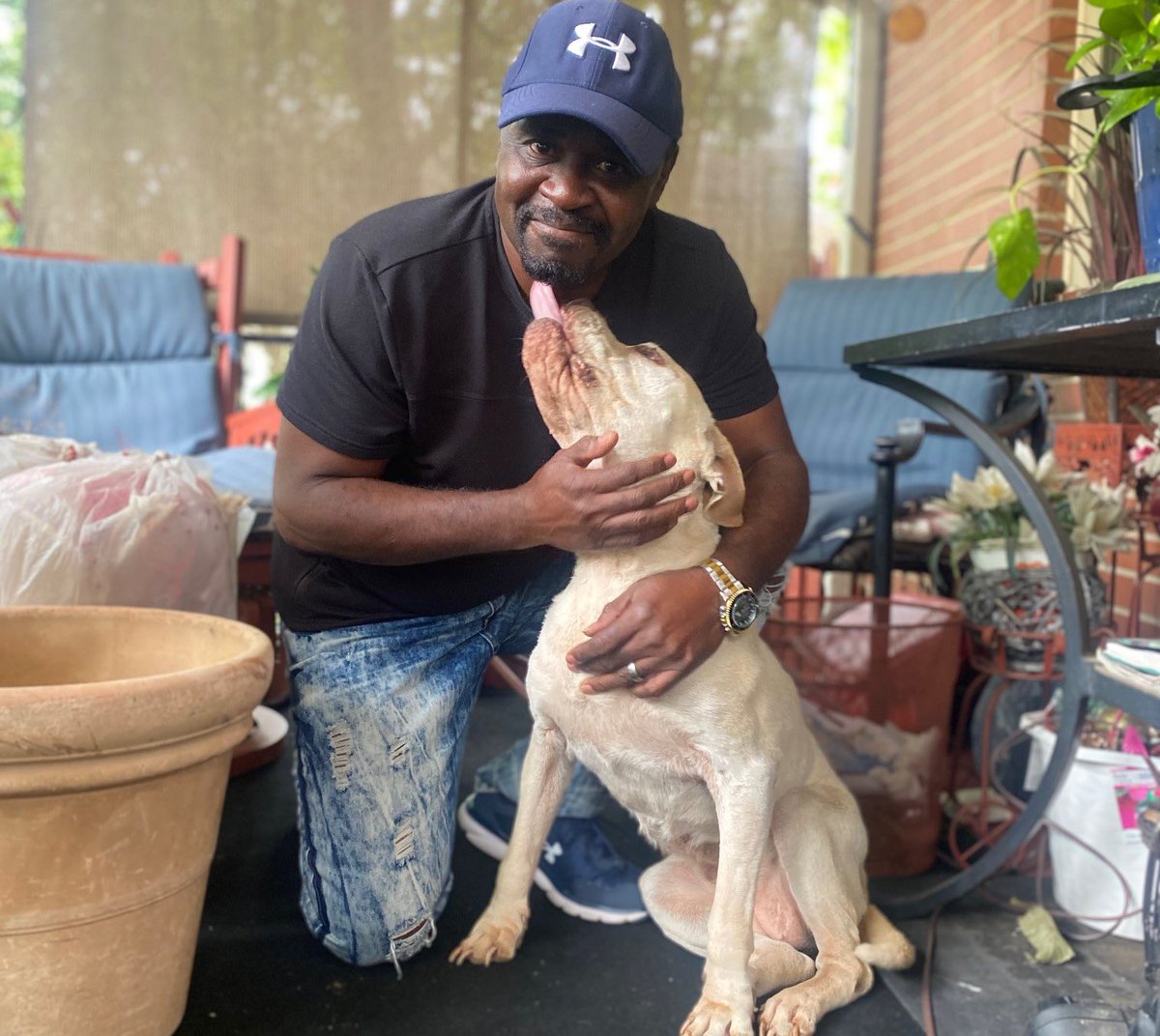 Beyond Fences tweet media