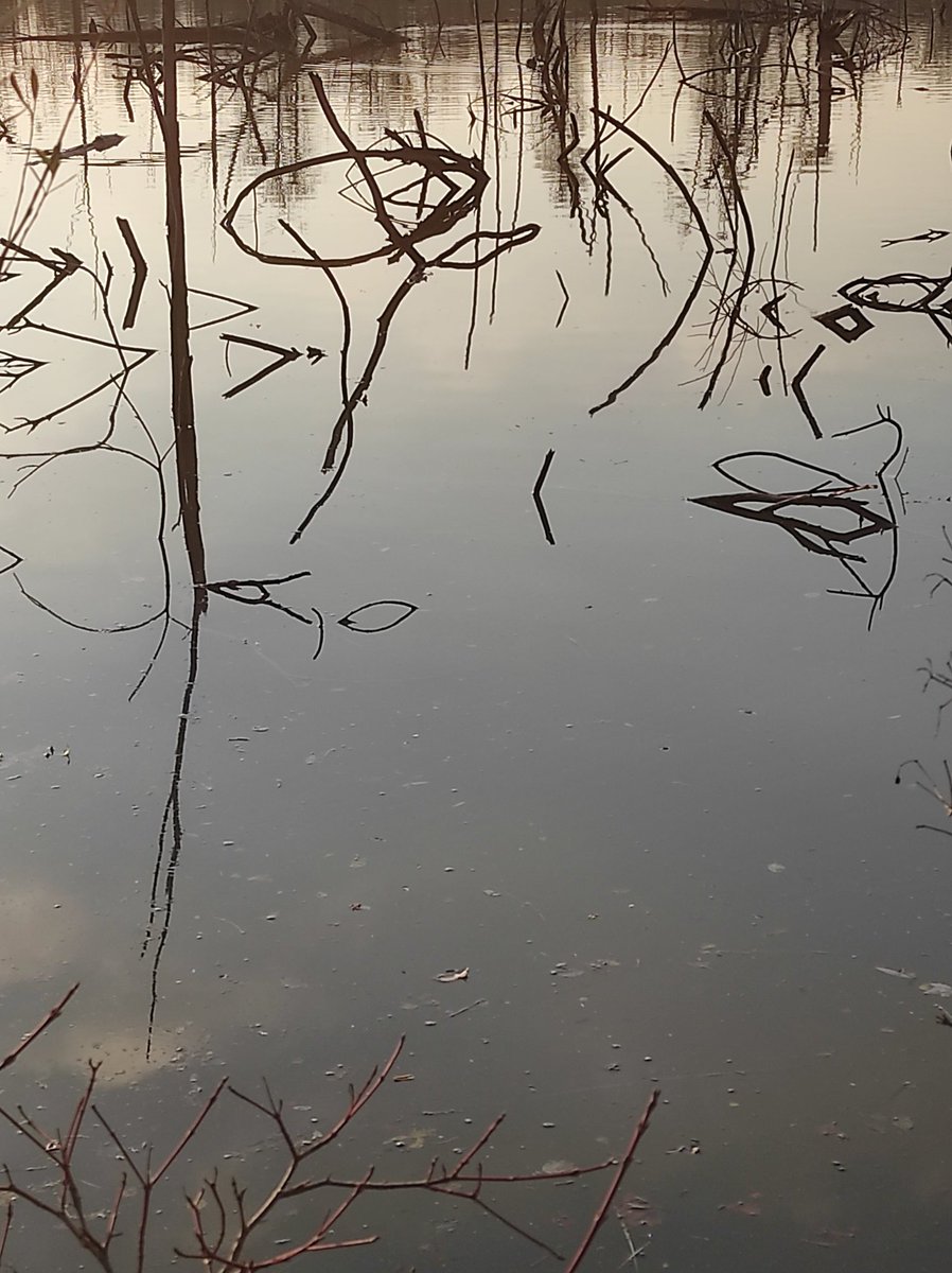 pennalp's tweet image. In the field with the students @DagriUnifi to visit #managed and artificial #wetlands, hosted by the personnel of the Reclamation District Acque Risorgive, in the Veneto Region. #hydrology #biodiversity #ecosystem #services #birds #plants #phytodepuration #Nutrients #Nature-based