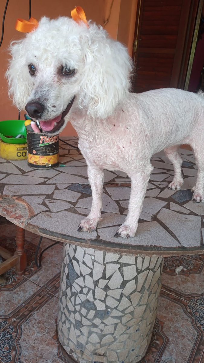 Mama Olga los deja hermosos 💗