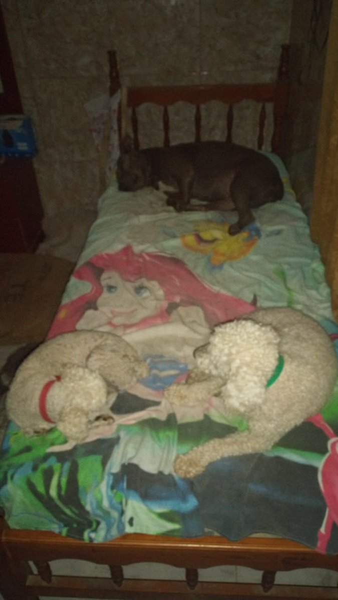 Se les pasó la siesta