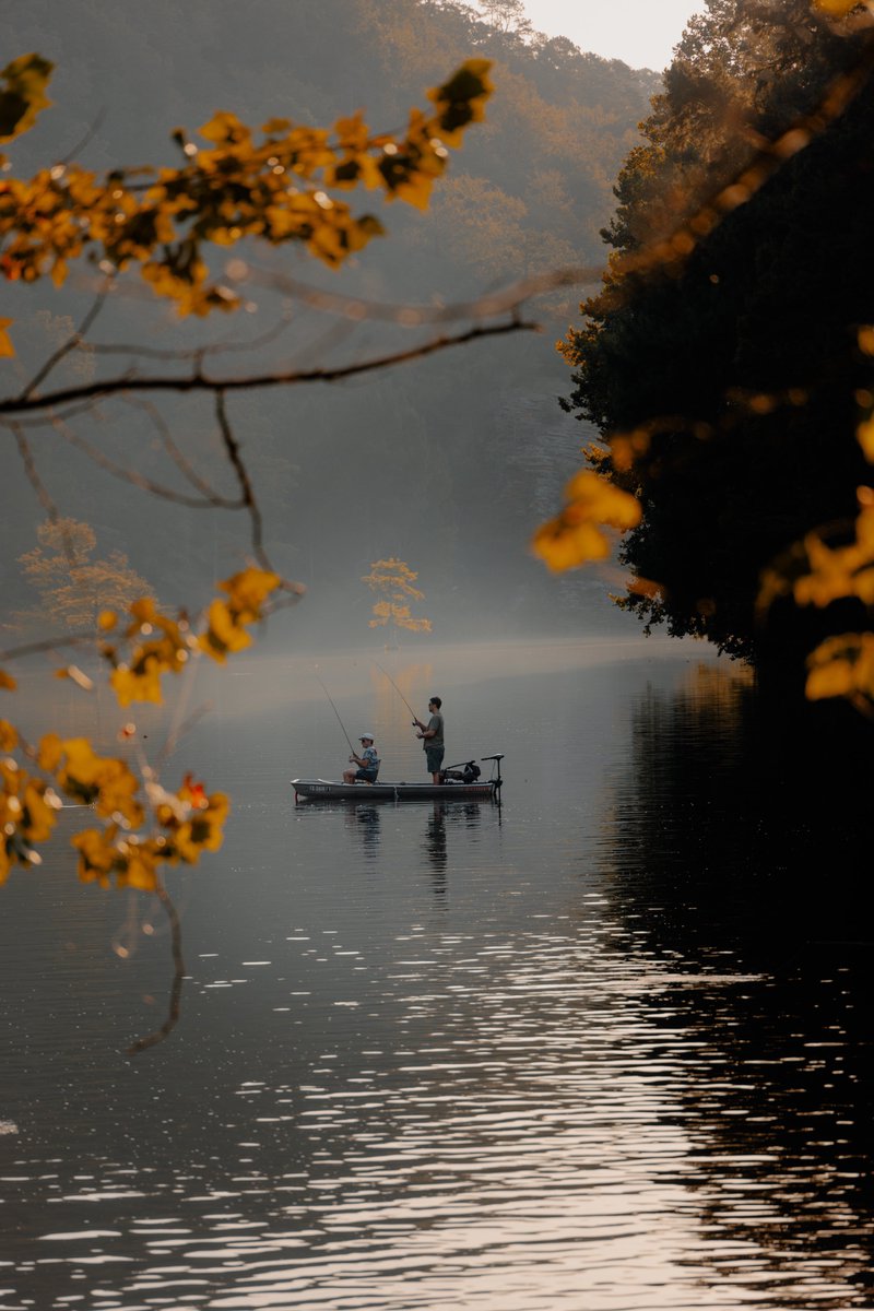 Julian | Texas Photographer 📸 tweet media