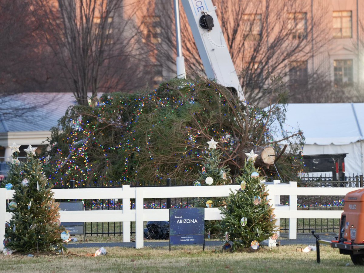 🚨 Biden’s White House Christmas tree got blown over by the wind. So fitting for this administration