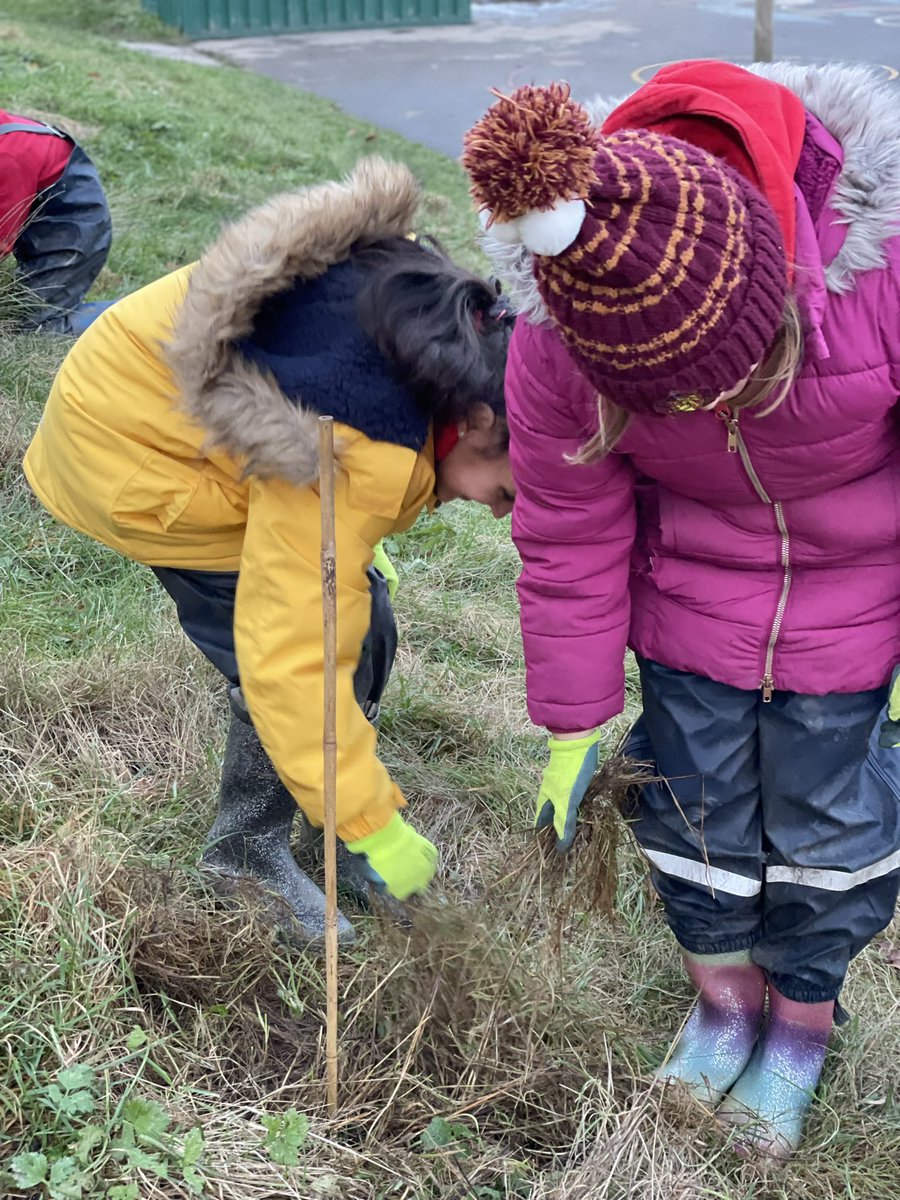 Grimes Dyke Primary School tweet media