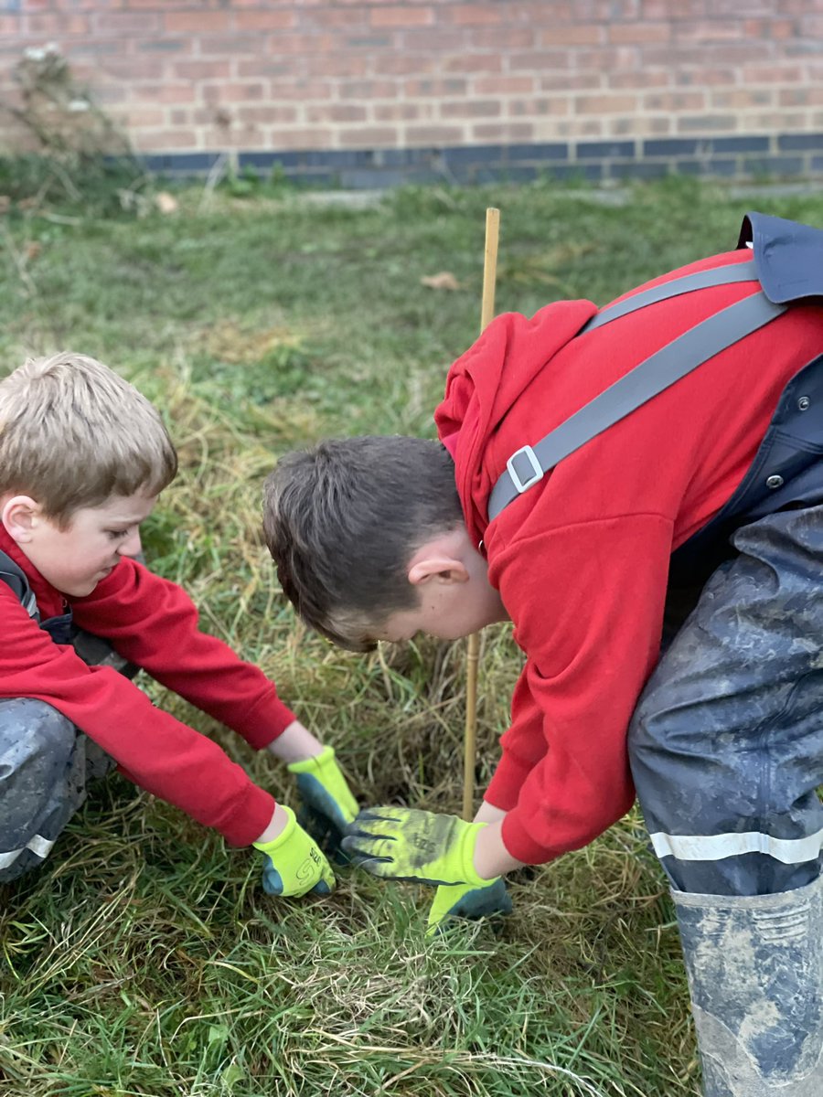 Grimes Dyke Primary School tweet media