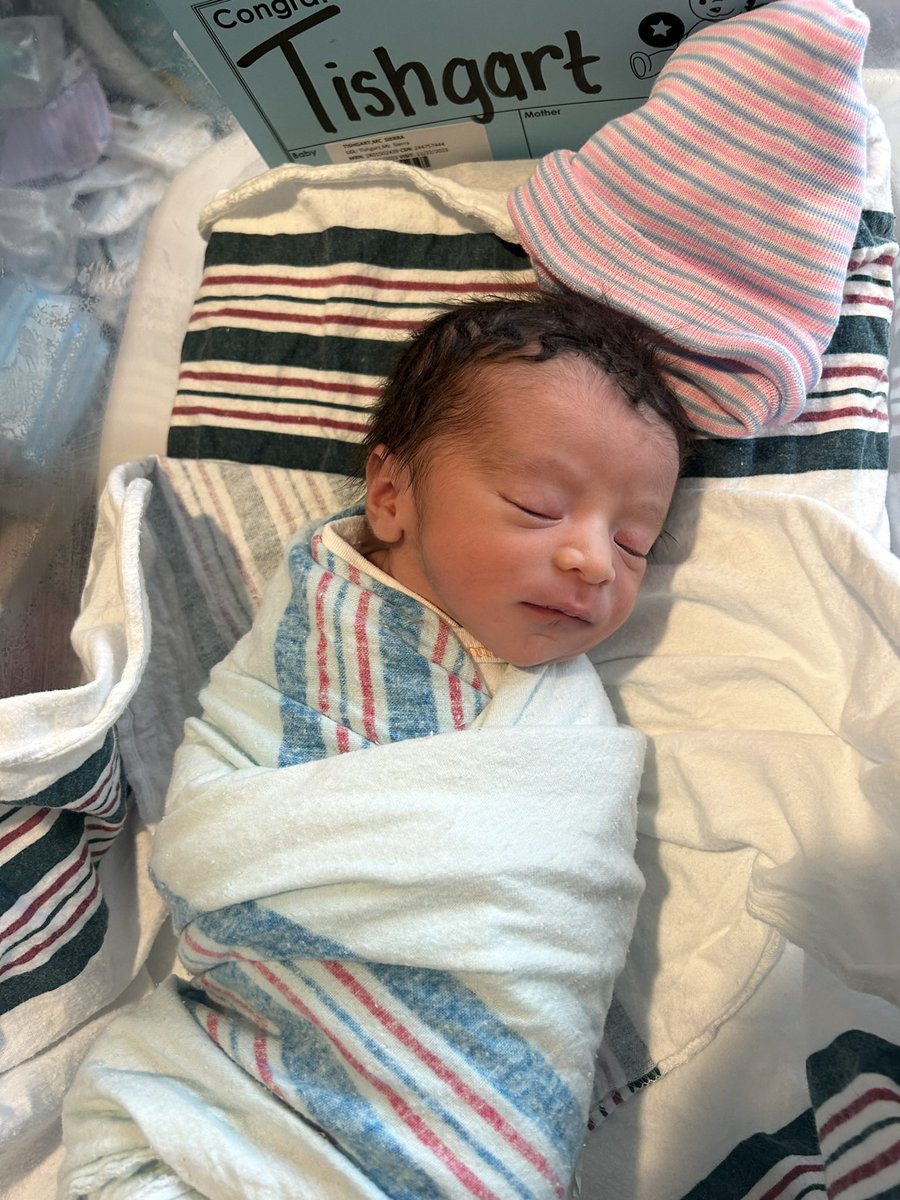 Galen Hall tweet media