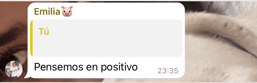 Carla🦁 tweet media