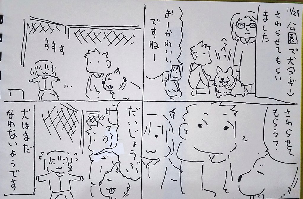 #本日のむすめさん 猫は得意なんですけどね、犬に接する機会がないので警戒してました。