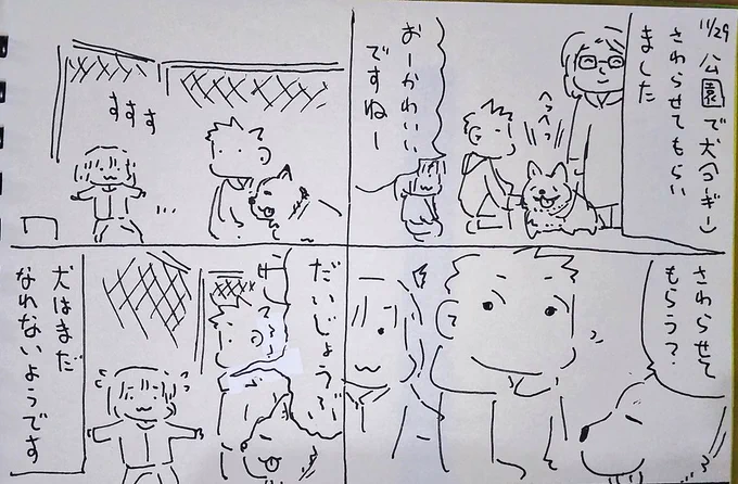 #本日のむすめさん 猫は得意なんですけどね、犬に接する機会がないので警戒してました。