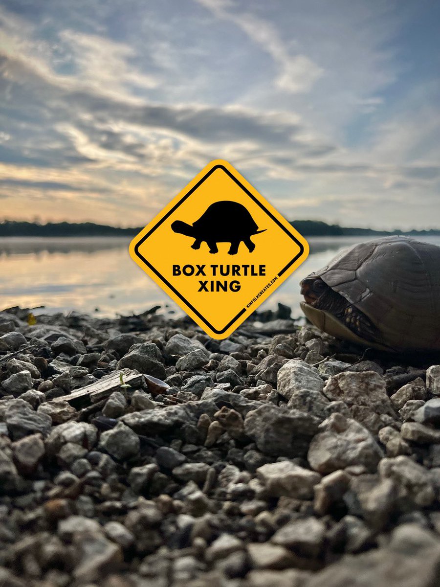 kinfolkcreated's tweet photo. Explore Kansas! 🌾 And watch out for our turtle friends! 🐢❤️😂 https://t.co/C6H5pP5eM1