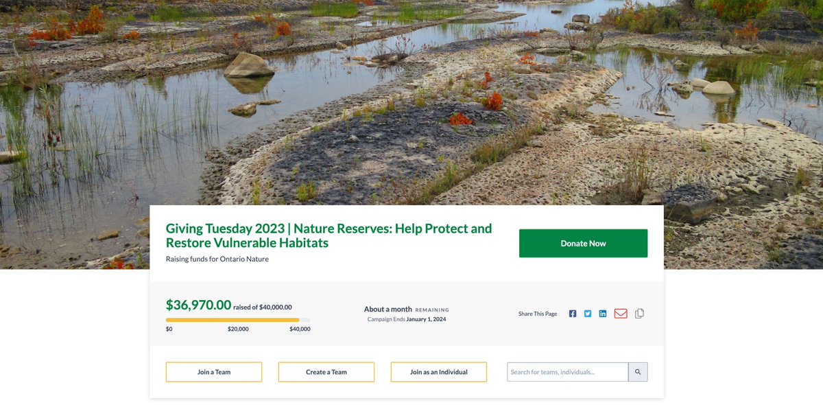 We're almost there! Please help us reach our fundraising goal of $40,000 to protect and restore Ontario's vulnerable habitats 💙🌎 ow.ly/t4sH50QceVx #GivingTuesday