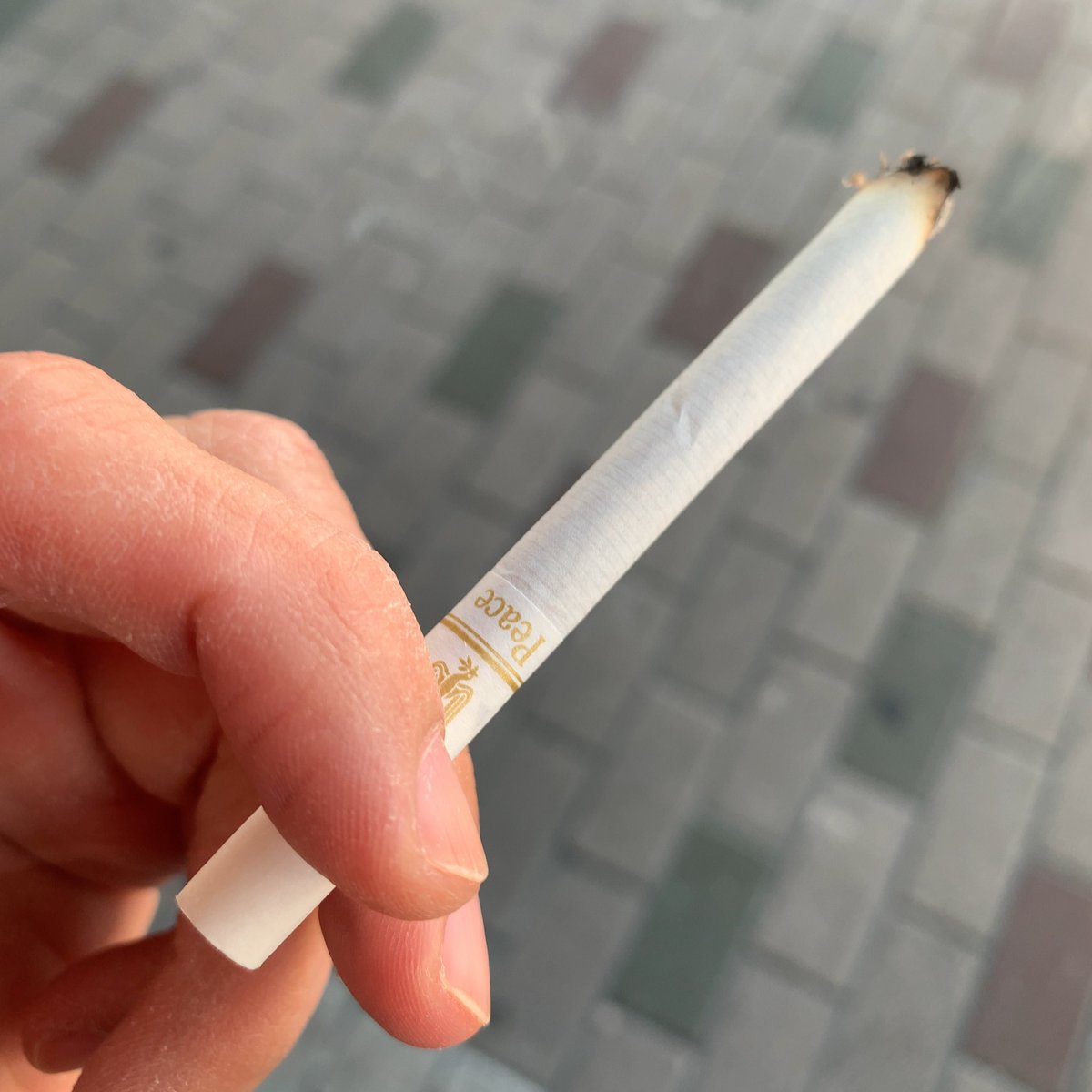 おはようございます。
本日は金ピを一服。
やっぱりピースは甘味があって美味い😋