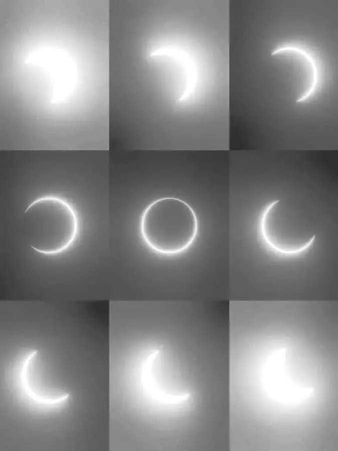 ScienceC96223 tweet picture