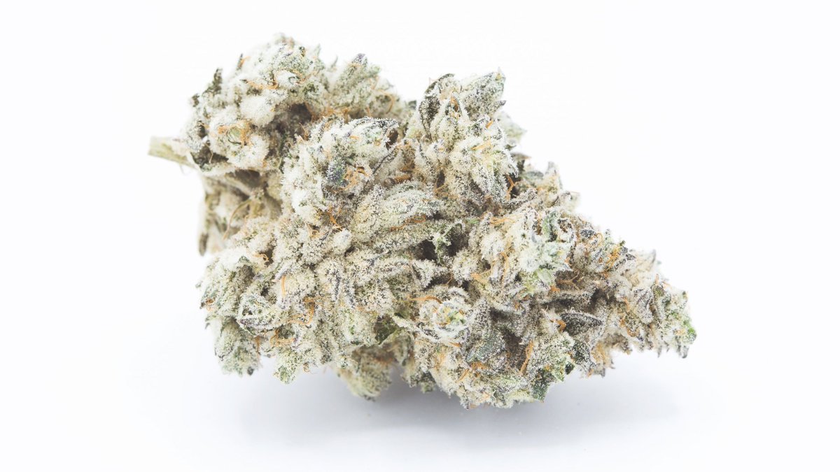 Petrolcan by @tantaluslabs has the master plan... coast to coast <a href="/AtlCultivation/">Atlantic Cultivation</a>  are making waves with these hot new drops. Now available in Ontario and BC! Next stop Manitoba and Newfoundland.