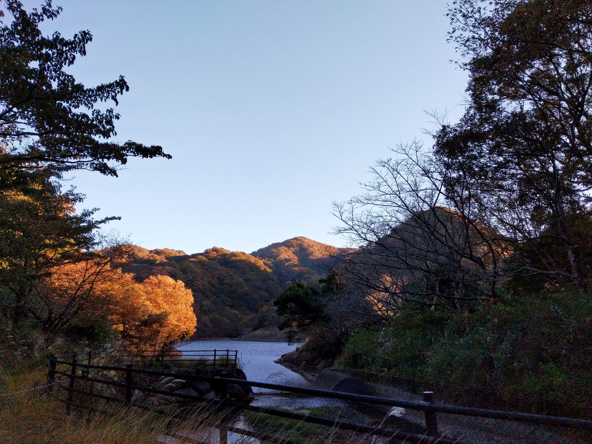 「散歩おりかえし地点から先景色など一切目もくれず、帰ってからのサバタツタに向ってグ」|りあら＠移住9年生！のイラスト