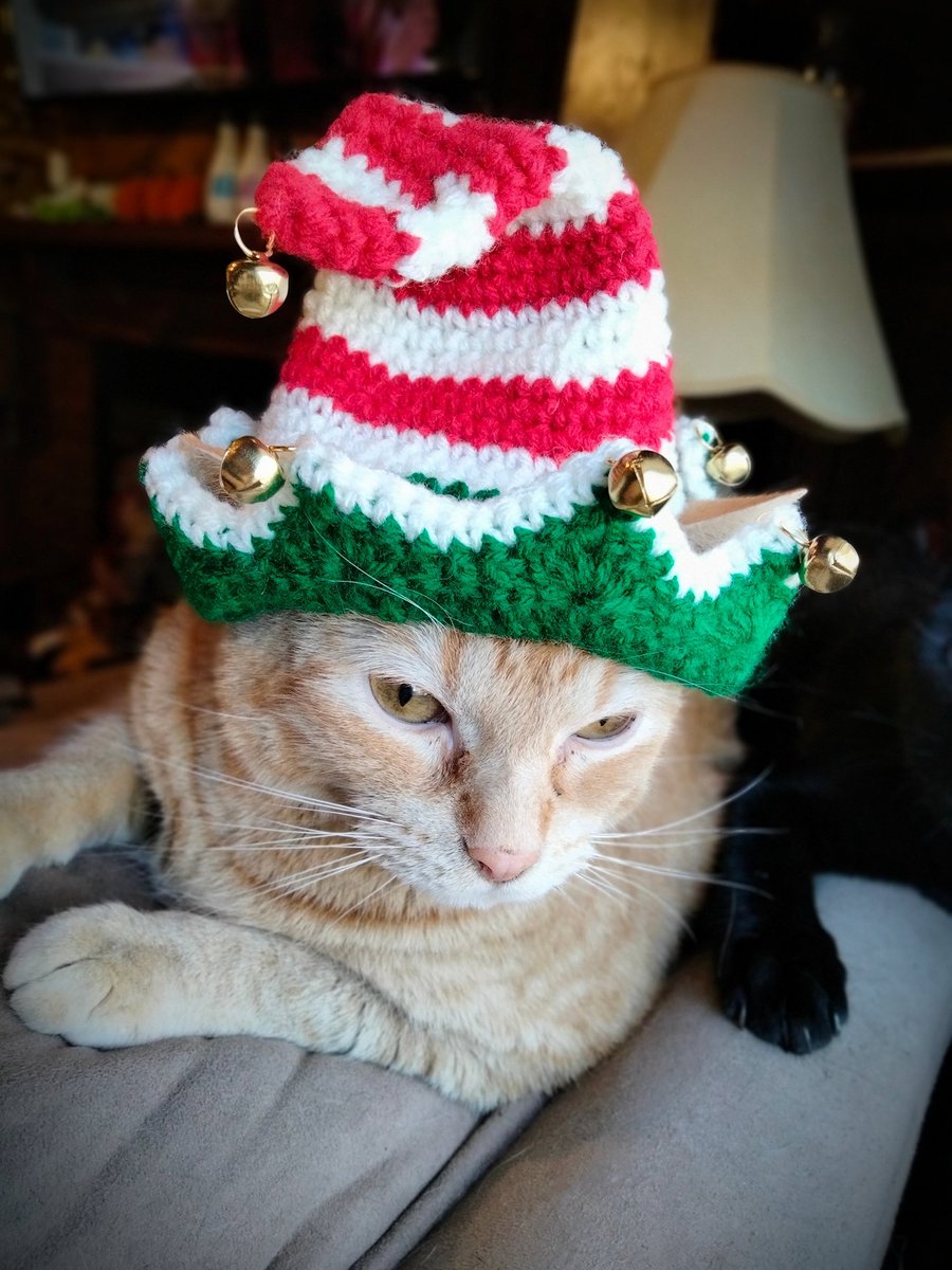 MegalsMerch's tweet photo. 🎄 Tis the Season🎄
Friendly reminder my entire shop is 25% off until Dec 1st! Support a small biz today! My Etsy is in my bio 💖

#cats #cute #cat #CatsOfTwitter #Christmas #Christmasgifts #handmade #handmadegift #supportsmallbusiness #crochet https://t.co/dNPrXI89Le