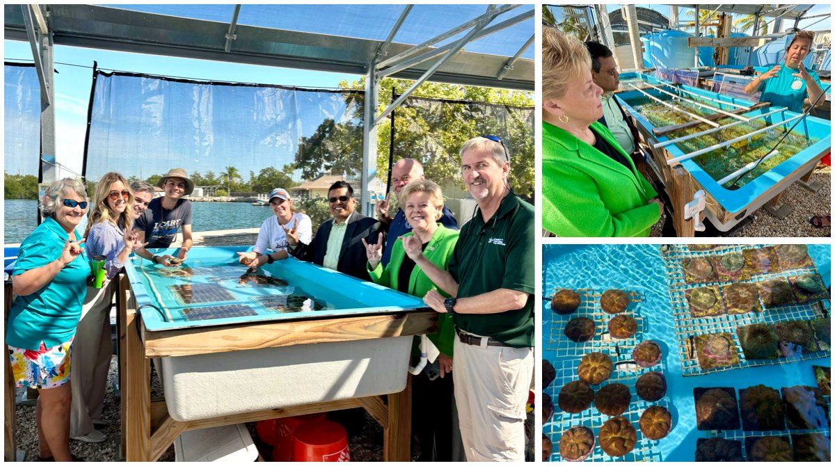 Today I visited the Keys Marine Lab to learn about their impactful oceanographic research and education programs. Operated by @FlOceanography and hosted by #USF, the KML has helped save thousands of corals this year from record warm water temperatures off the coast of Florida.