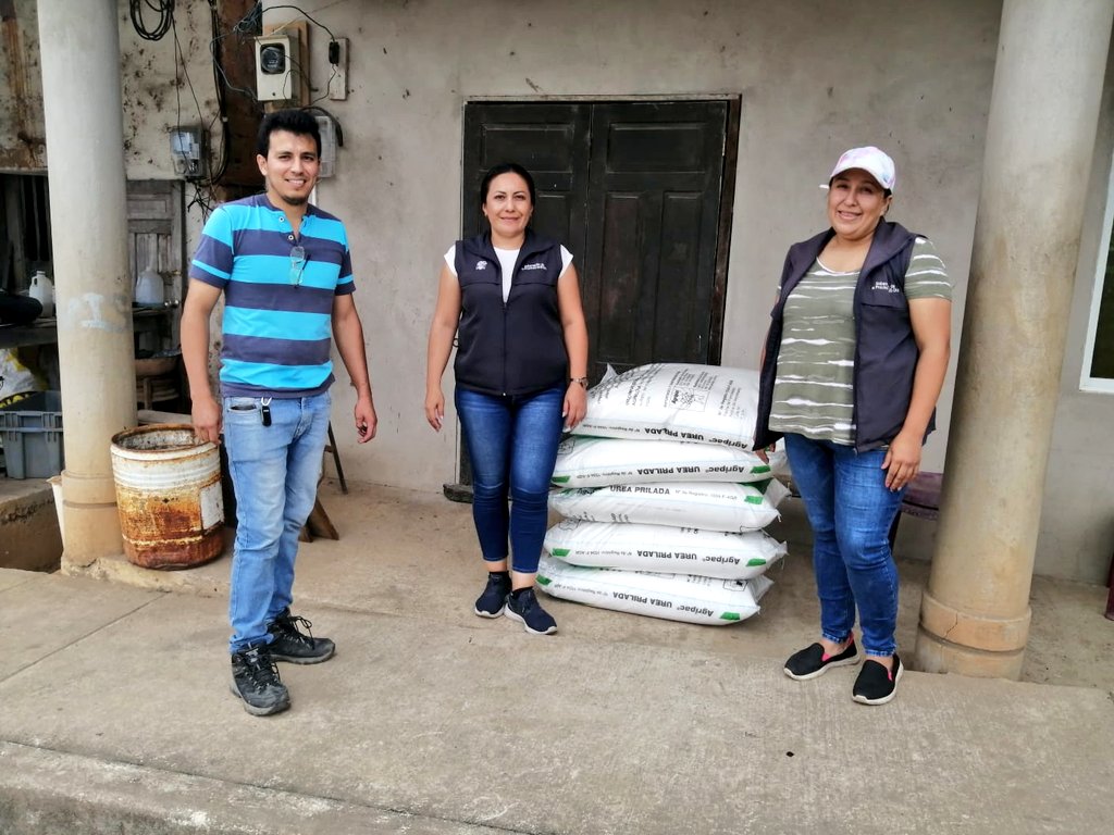 #ElOro | Con el propósito de incentivar la  actividad pecuaria en nuestra Provincia, entregamos 25 sacos de urea subvencionada al 50% para pastos y forrajes, a productores de las parroquias moromoro, palosolo, del cantón #Piñas
 
#ElNuevoEcuador