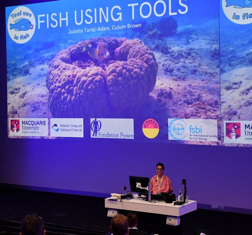 It was a dream to attend the Indo-Pacific Fish Conf last week, one of the biggest fish science conf in the world 🤩 and present the fish tool use project #IPFC11 #IPFC2023
