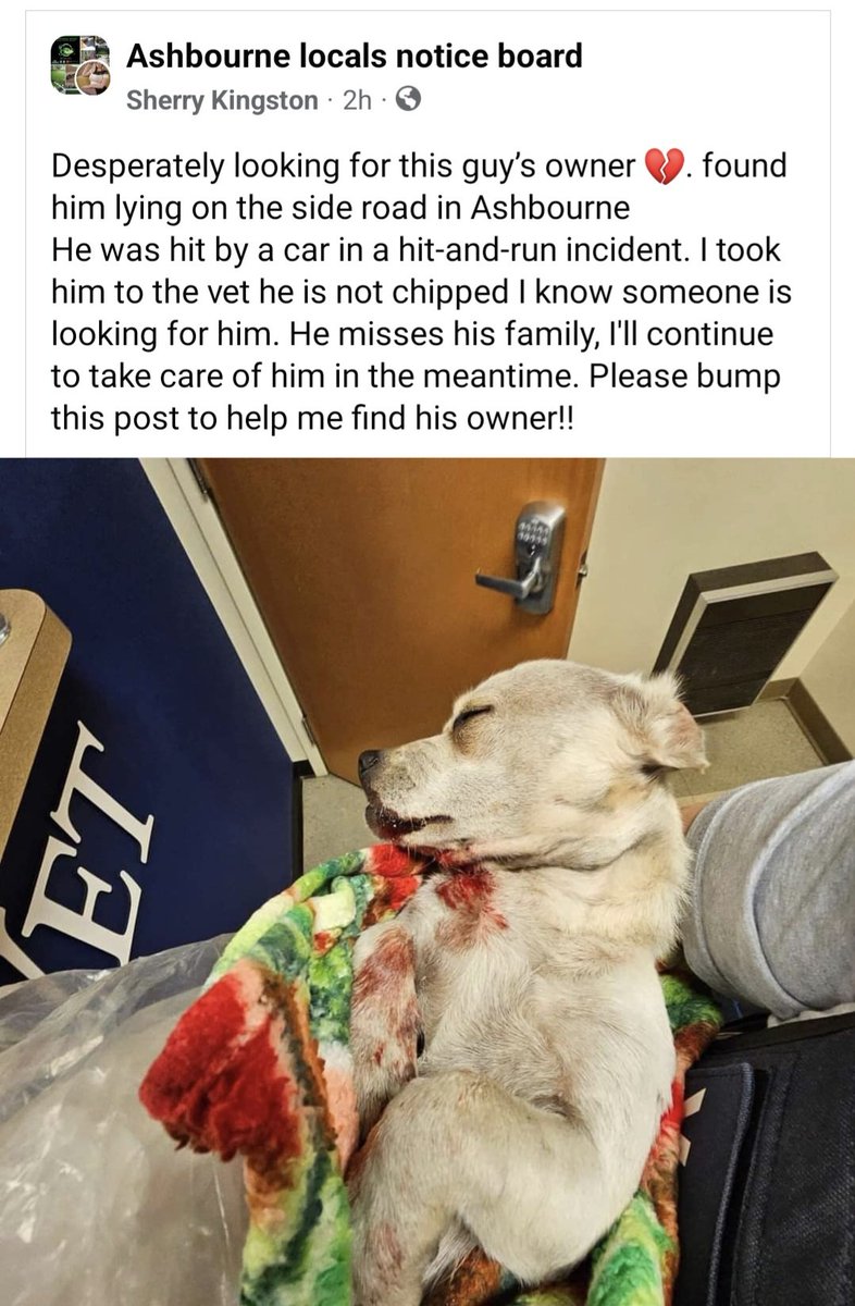 EmerFox1's tweet photo. Attention dog owner Ashbourne area. https://t.co/bot2BNt3Tc