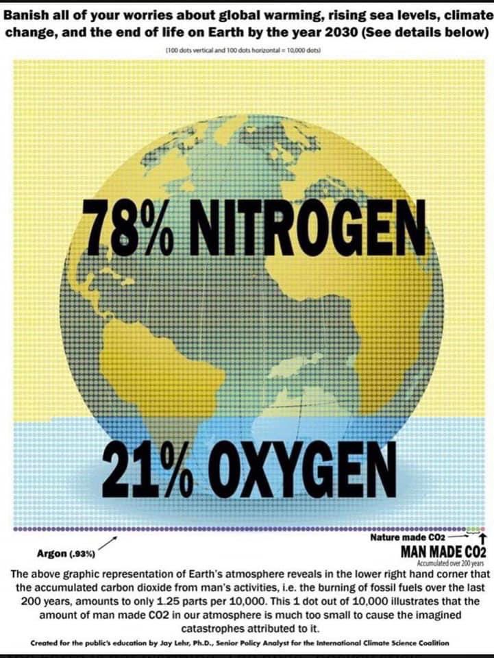 alaskancub's tweet photo. @DanCady @AndryGiles Awww you can’t read sarcasm. 
Its okay dearie, I’ve read more books &amp; studied more actual physical climate facts than you ever will, clearly, if you truly believe an essential gas vital to human life &amp; all life on planet earth, is a pollutant “causing warming”, &amp; not the sun. 🌞 https://t.co/peg7jryxx8