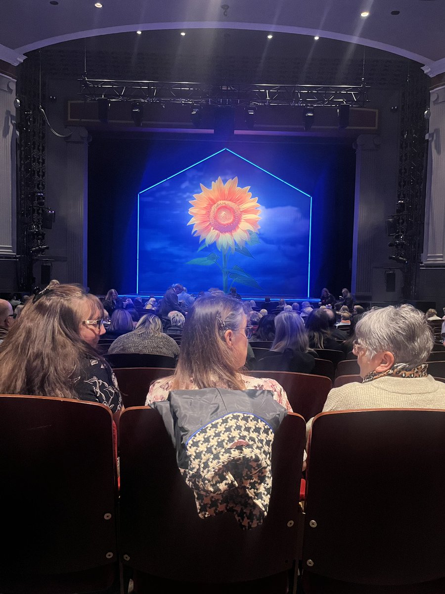 VickyC ᐰ tweet media