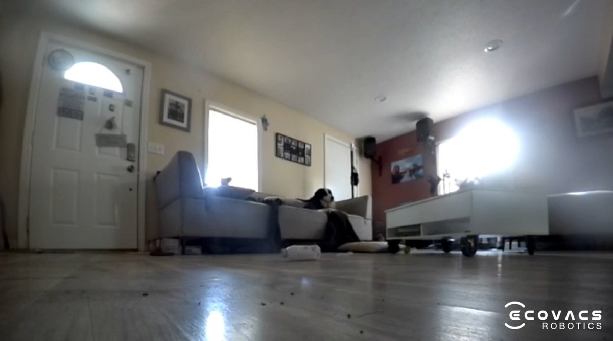 No Cheating, drop a dog pic saved in your gallery. (Charles on the robot camera).